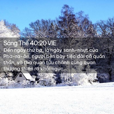 Picture 02 - Sáng Thế 40:20 VIE - Đến ngày thứ ba, là ngày sanh-nhựt - Bible Verse Picture
