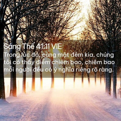 Picture 02 - Sáng Thế 41:11 VIE - Trong lúc đó, cùng một đêm kia, chúng - Bible Verse Picture