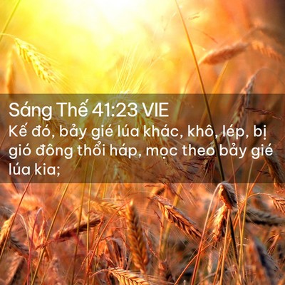 Picture 02 - Sáng Thế 41:23 VIE - Kế đó, bảy gié lúa khác, khô, lép, - Bible Verse Picture