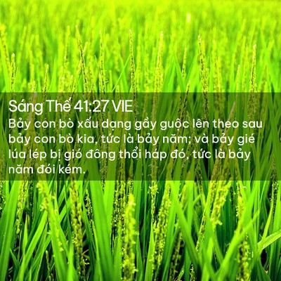Picture 02 - Sáng Thế 41:27 VIE - Bảy con bò xấu dạng gầy guộc lên theo - Bible Verse Picture
