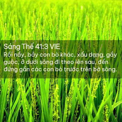 Picture 02 - Sáng Thế 41:3 VIE - Rồi nầy, bảy con bò khác, xấu dạng, - Bible Verse Picture