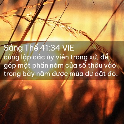 Picture 02 - Sáng Thế 41:34 VIE - cùng lập các ủy viên trong xứ, để - Bible Verse Picture