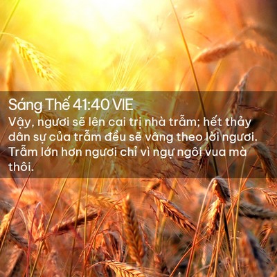 Picture 02 - Sáng Thế 41:40 VIE - Vậy, ngươi sẽ lên cai trị nhà trẫm; - Bible Verse Picture