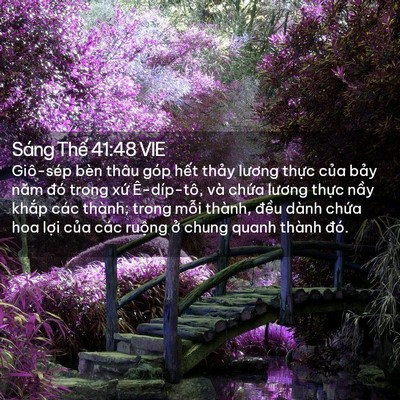 Picture 02 - Sáng Thế 41:48 VIE - Giô-sép bèn thâu góp hết thảy lương - Bible Verse Picture