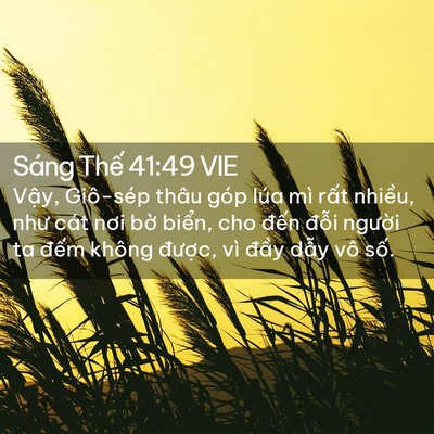 Picture 02 - Sáng Thế 41:49 VIE - Vậy, Giô-sép thâu góp lúa mì rất - Bible Verse Picture
