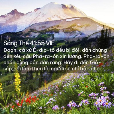 Picture 02 - Sáng Thế 41:55 VIE - Đoạn, cả xứ Ê-díp-tô đều bị đói, - Bible Verse Picture