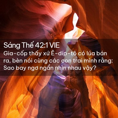 Picture 02 - Sáng Thế 42:1 VIE - Gia-cốp thấy xứ Ê-díp-tô có lúa bán - Bible Verse Picture