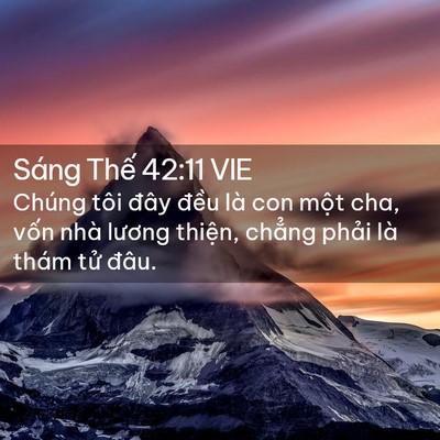 Picture 02 - Sáng Thế 42:11 VIE - Chúng tôi đây đều là con một cha, vốn - Bible Verse Picture