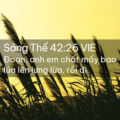 Picture 02 - Sáng Thế 42:26 VIE - Đoạn, anh em chất mấy bao lúa lên lưng - Bible Verse Picture