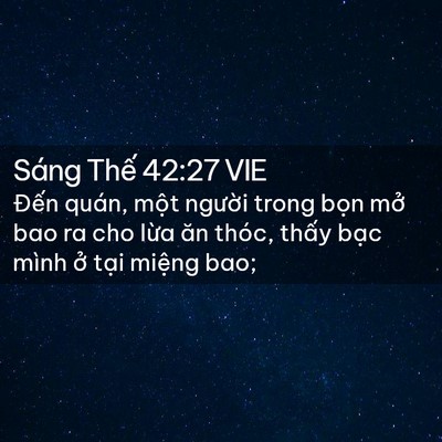 Picture 02 - Sáng Thế 42:27 VIE - Đến quán, một người trong bọn mở bao - Bible Verse Picture