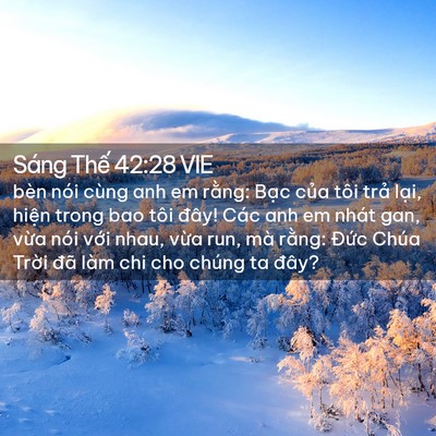 Picture 02 - Sáng Thế 42:28 VIE - bèn nói cùng anh em rằng: Bạc của tôi - Bible Verse Picture