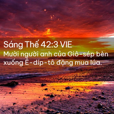 Picture 02 - Sáng Thế 42:3 VIE - Mười người anh của Giô-sép bèn xuống - Bible Verse Picture