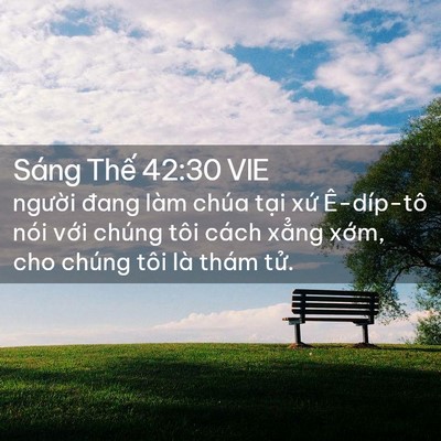 Picture 02 - Sáng Thế 42:30 VIE - người đang làm chúa tại xứ Ê-díp-tô - Bible Verse Picture