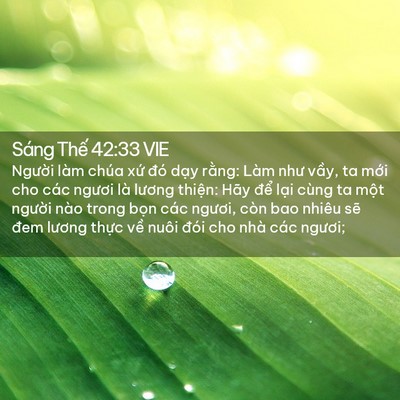Picture 02 - Sáng Thế 42:33 VIE - Người làm chúa xứ đó dạy rằng: Làm - Bible Verse Picture