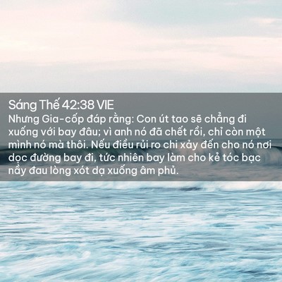 Picture 02 - Sáng Thế 42:38 VIE - Nhưng Gia-cốp đáp rằng: Con út tao sẽ - Bible Verse Picture