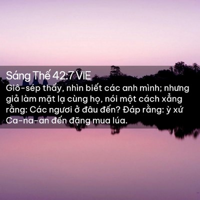 Picture 02 - Sáng Thế 42:7 VIE - Giô-sép thấy, nhìn biết các anh mình; - Bible Verse Picture