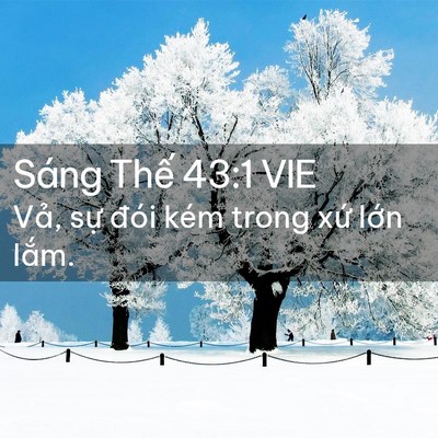 Picture 02 - Sáng Thế 43:1 VIE - Vả, sự đói kém trong xứ lớn - Bible Verse Picture