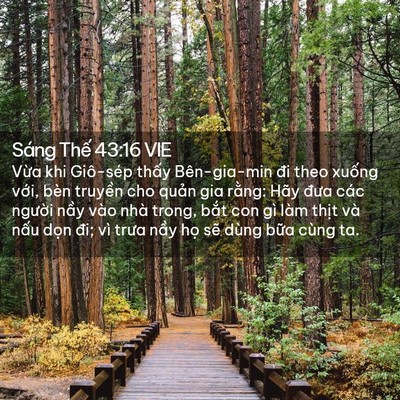 Picture 02 - Sáng Thế 43:16 VIE - Vừa khi Giô-sép thấy Bên-gia-min đi theo - Bible Verse Picture