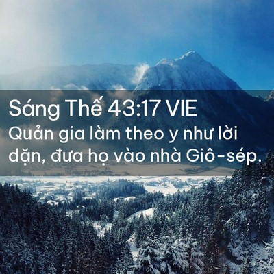 Picture 02 - Sáng Thế 43:17 VIE - Quản gia làm theo y như lời dặn, đưa - Bible Verse Picture