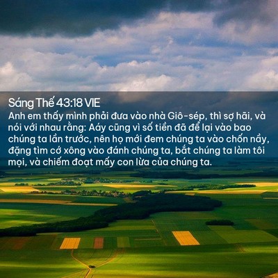 Picture 02 - Sáng Thế 43:18 VIE - Anh em thấy mình phải đưa vào nhà - Bible Verse Picture