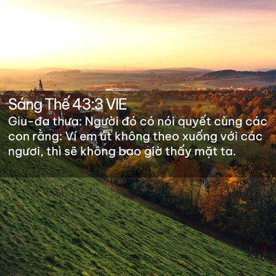 Picture 02 - Sáng Thế 43:3 VIE - Giu-đa thưa: Người đó có nói quyết - Bible Verse Picture