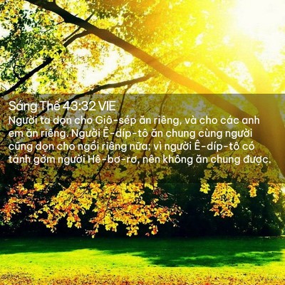 Picture 02 - Sáng Thế 43:32 VIE - Người ta dọn cho Giô-sép ăn riêng, và - Bible Verse Picture