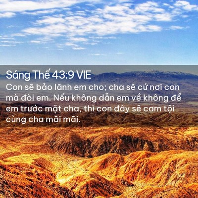 Picture 02 - Sáng Thế 43:9 VIE - Con sẽ bảo lãnh em cho; cha sẽ cứ nơi - Bible Verse Picture