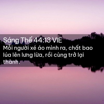 Picture 02 - Sáng Thế 44:13 VIE - Mỗi người xé áo mình ra, chất bao lúa - Bible Verse Picture