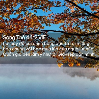 Picture 02 - Sáng Thế 44:2 VIE - Lại hãy để cái chén bằng bạc ta tại - Bible Verse Picture