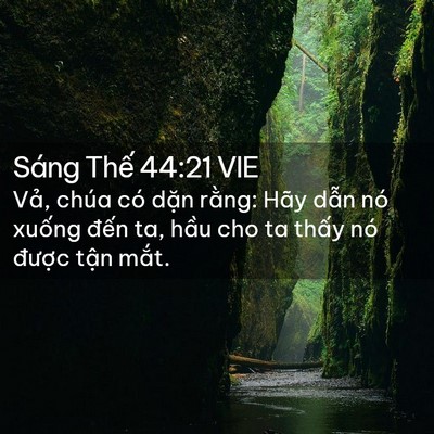 Picture 02 - Sáng Thế 44:21 VIE - Vả, chúa có dặn rằng: Hãy dẫn nó - Bible Verse Picture