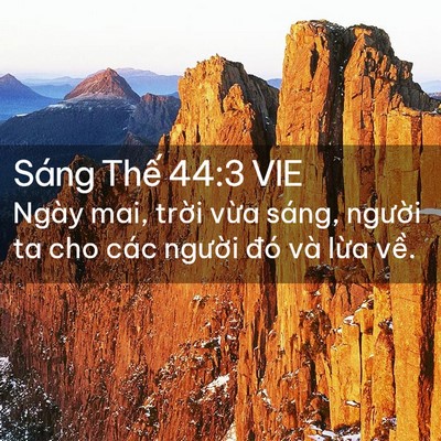 Picture 02 - Sáng Thế 44:3 VIE - Ngày mai, trời vừa sáng, người ta cho - Bible Verse Picture