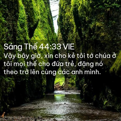 Picture 02 - Sáng Thế 44:33 VIE - Vậy bây giờ, xin cho kẻ tôi tớ chúa - Bible Verse Picture