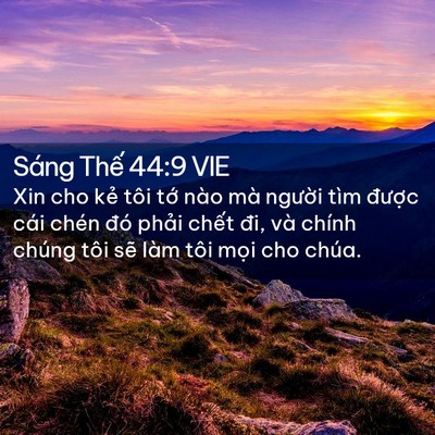 Picture 02 - Sáng Thế 44:9 VIE - Xin cho kẻ tôi tớ nào mà người tìm - Bible Verse Picture