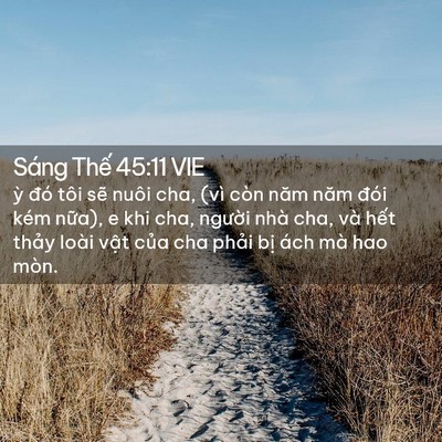 Picture 02 - Sáng Thế 45:11 VIE - ỳ đó tôi sẽ nuôi cha, (vì còn năm năm - Bible Verse Picture