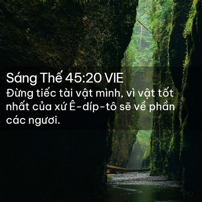 Picture 02 - Sáng Thế 45:20 VIE - Đừng tiếc tài vật mình, vì vật tốt - Bible Verse Picture