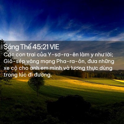 Picture 02 - Sáng Thế 45:21 VIE - Các con trai của Y-sơ-ra-ên làm y như - Bible Verse Picture