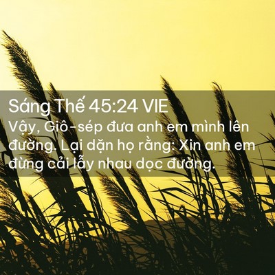Picture 02 - Sáng Thế 45:24 VIE - Vậy, Giô-sép đưa anh em mình lên - Bible Verse Picture