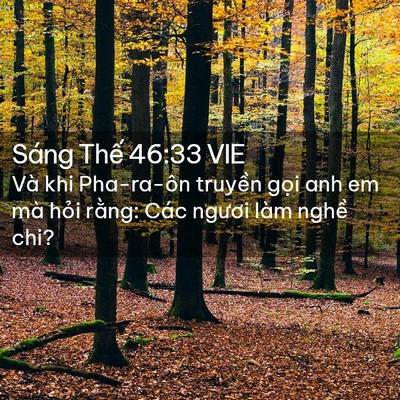 Picture 02 - Sáng Thế 46:33 VIE - Và khi Pha-ra-ôn truyền gọi anh em mà - Bible Verse Picture