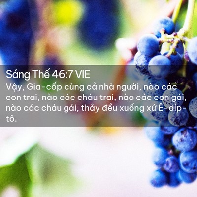 Picture 02 - Sáng Thế 46:7 VIE - Vậy, Gia-cốp cùng cả nhà người, nào - Bible Verse Picture