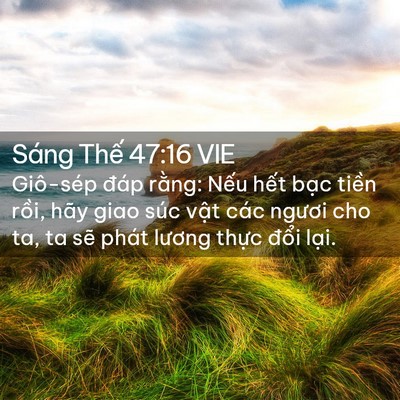 Picture 02 - Sáng Thế 47:16 VIE - Giô-sép đáp rằng: Nếu hết bạc tiền - Bible Verse Picture