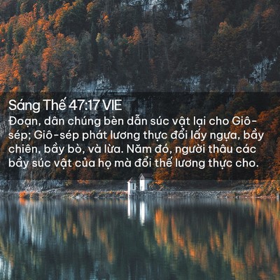 Picture 02 - Sáng Thế 47:17 VIE - Đoạn, dân chúng bèn dẫn súc vật lại - Bible Verse Picture