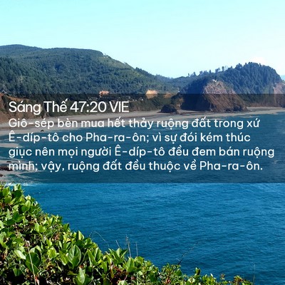 Picture 02 - Sáng Thế 47:20 VIE - Giô-sép bèn mua hết thảy ruộng đất - Bible Verse Picture