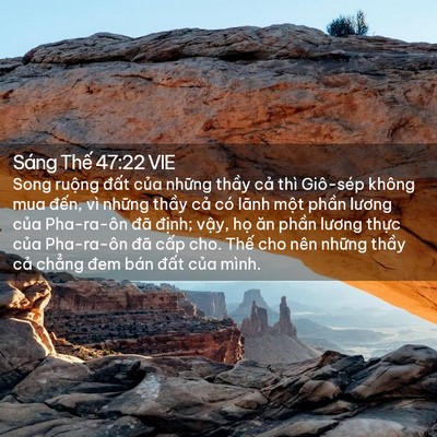 Picture 02 - Sáng Thế 47:22 VIE - Song ruộng đất của những thầy cả - Bible Verse Picture
