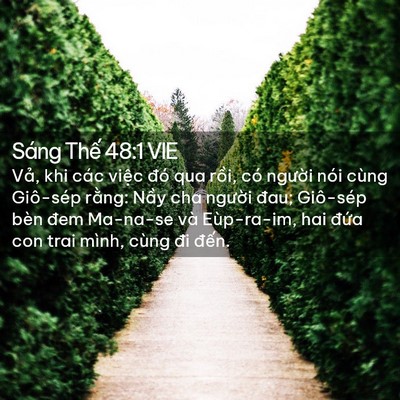 Picture 02 - Sáng Thế 48:1 VIE - Vả, khi các việc đó qua rồi, có - Bible Verse Picture