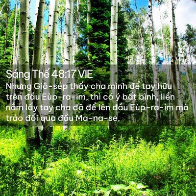 Picture 02 - Sáng Thế 48:17 VIE - Nhưng Giô-sép thấy cha mình để tay hữu - Bible Verse Picture