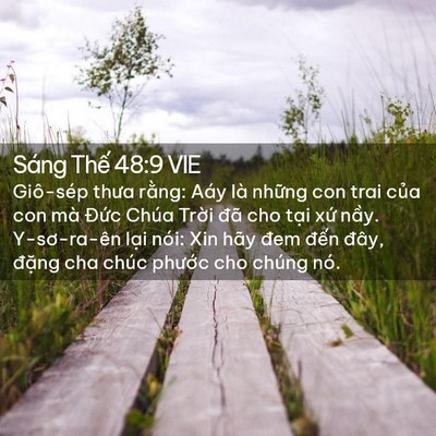 Picture 02 - Sáng Thế 48:9 VIE - Giô-sép thưa rằng: Aáy là những con trai - Bible Verse Picture