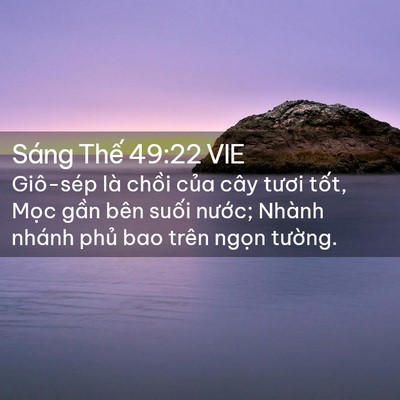 Picture 02 - Sáng Thế 49:22 VIE - Giô-sép là chồi của cây tươi tốt, - Bible Verse Picture