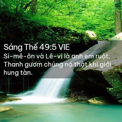 Picture 02 - Sáng Thế 49:5 VIE - Si-mê-ôn và Lê-vi là anh em ruột. Thanh - Bible Verse Picture