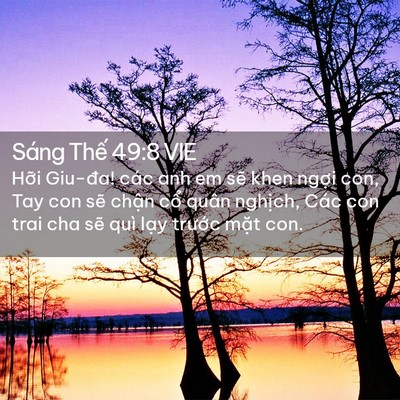Picture 02 - Sáng Thế 49:8 VIE - Hỡi Giu-đa! các anh em sẽ khen ngợi con, - Bible Verse Picture