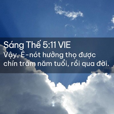 Picture 02 - Sáng Thế 5:11 VIE - Vậy, Ê-nót hưởng thọ được chín - Bible Verse Picture